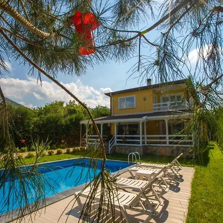 The Doctor'S House Villa Sapanca Exterior photo