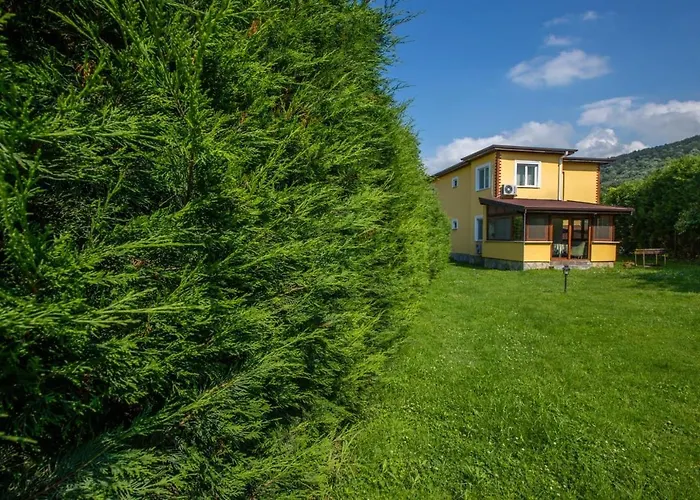 The Doctor\'S House