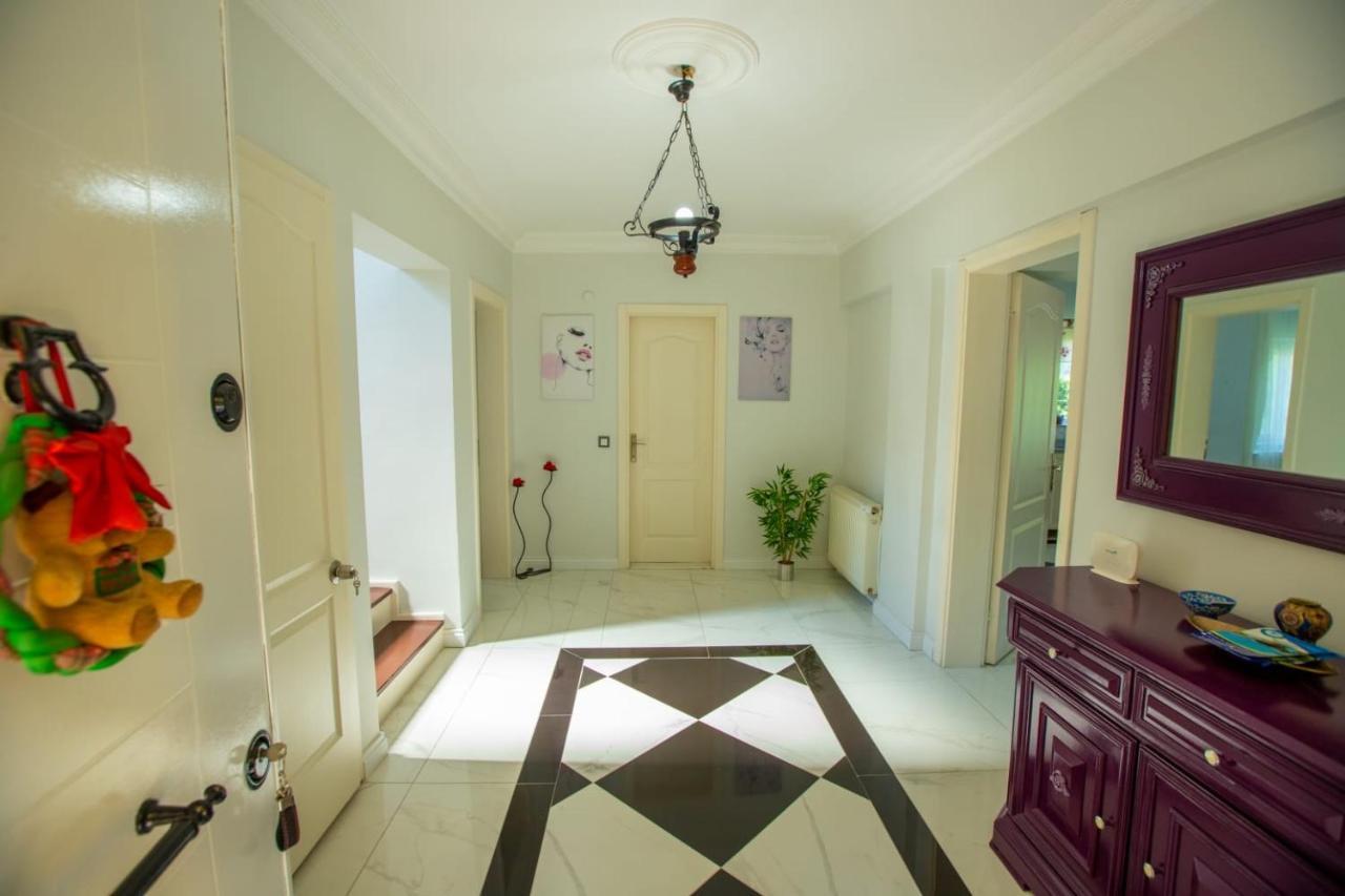 The Doctor's House וילה *